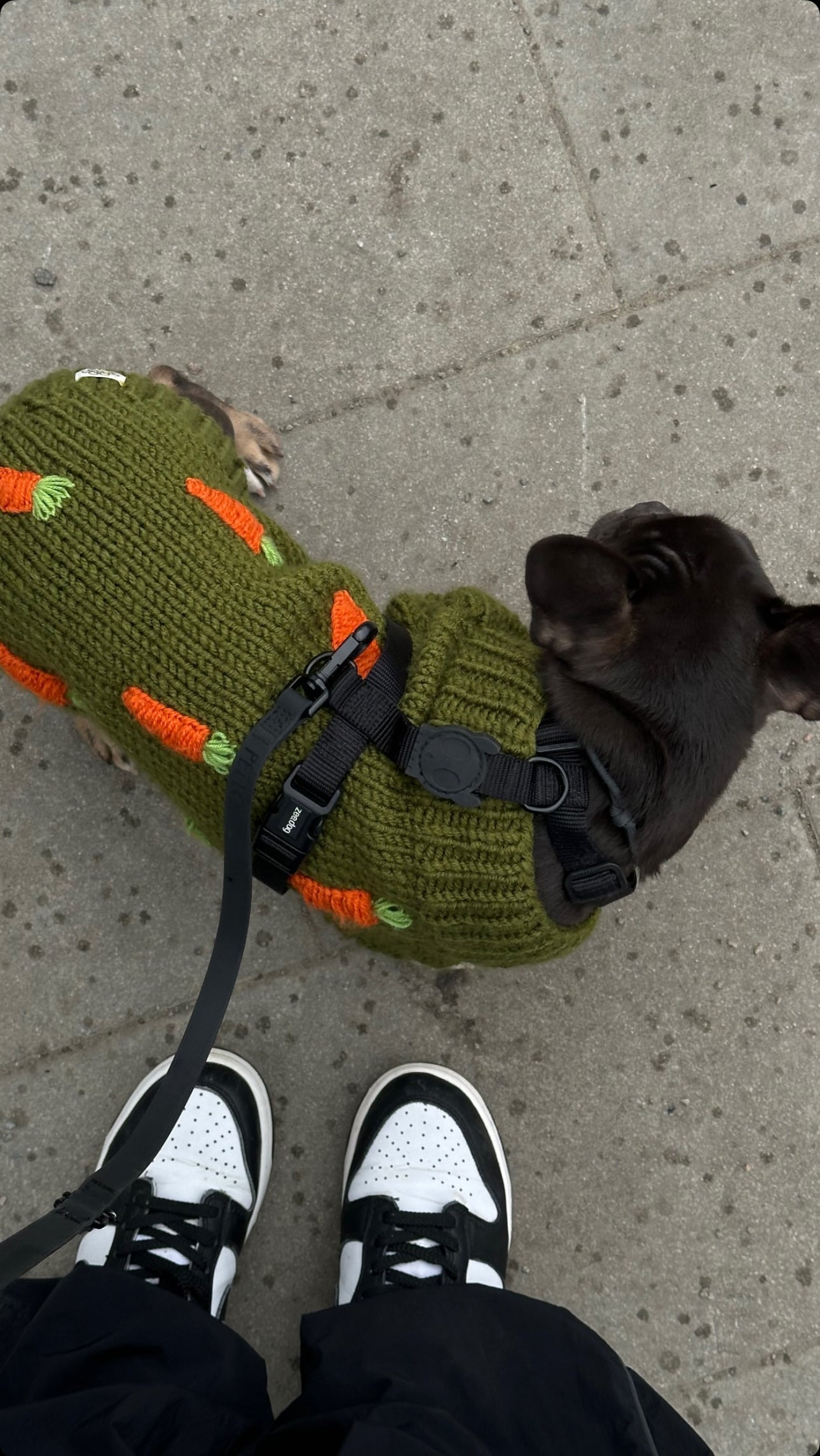 Водонепроникний поводок Waterproof Leash 2-in-1 Black