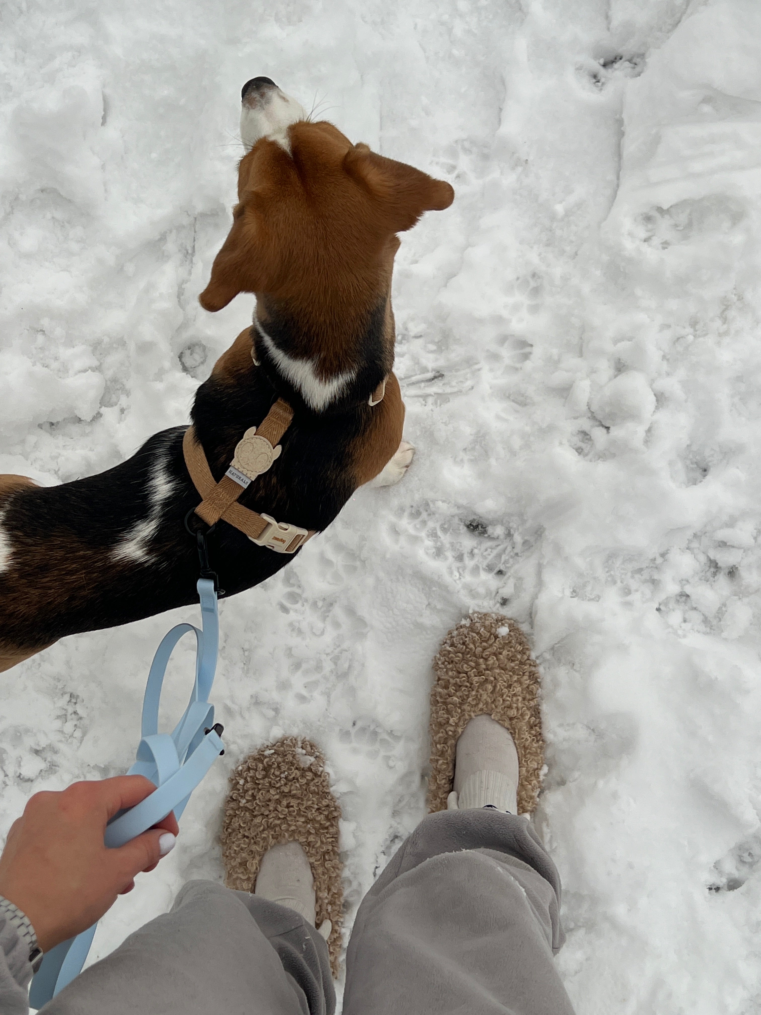 Водонепроникний поводок Waterproof Leash 2-in-1 Ice Blue
