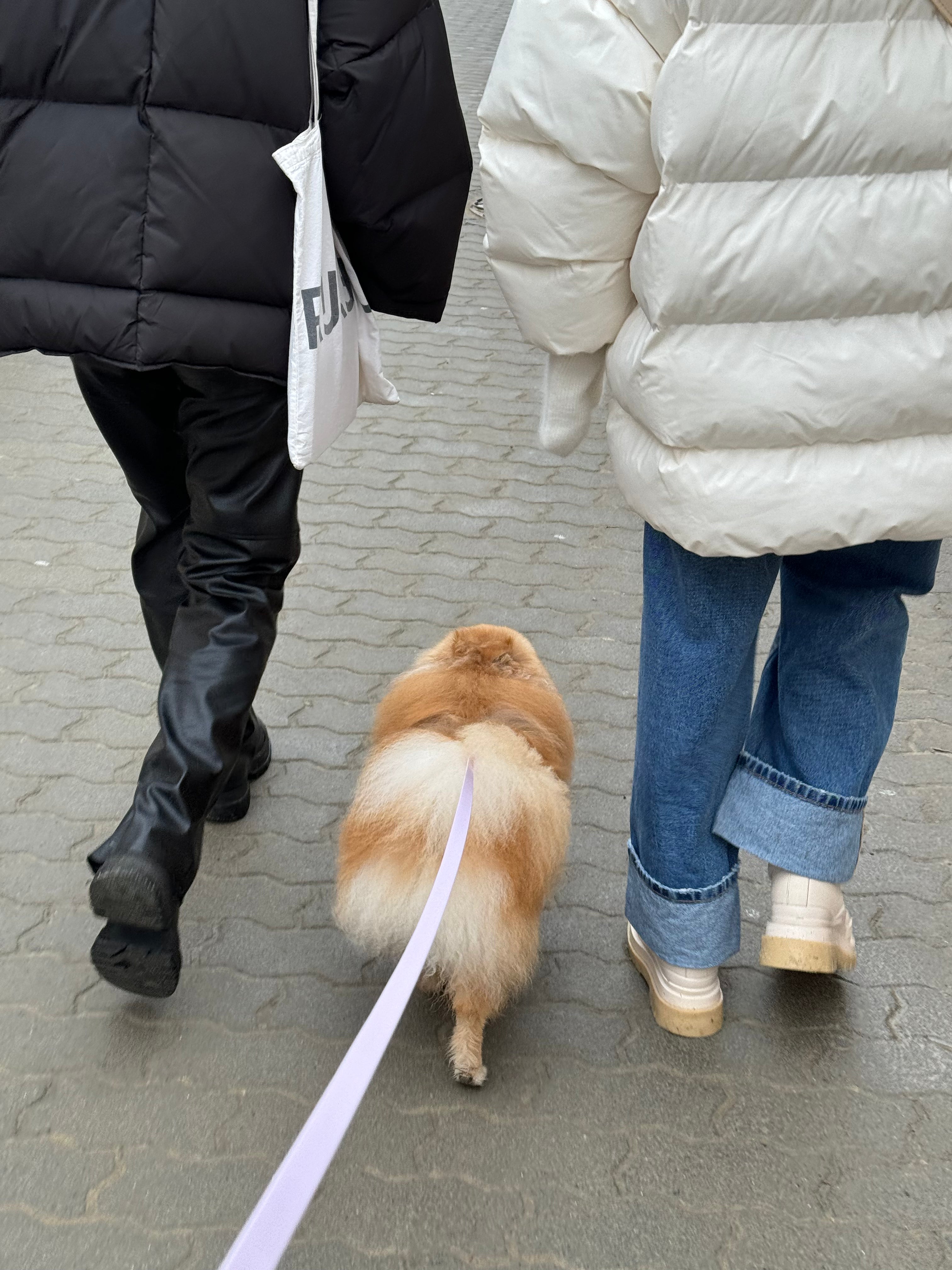 Водонепроникний поводок Waterproof Leash 2-in-1 Ice Blue