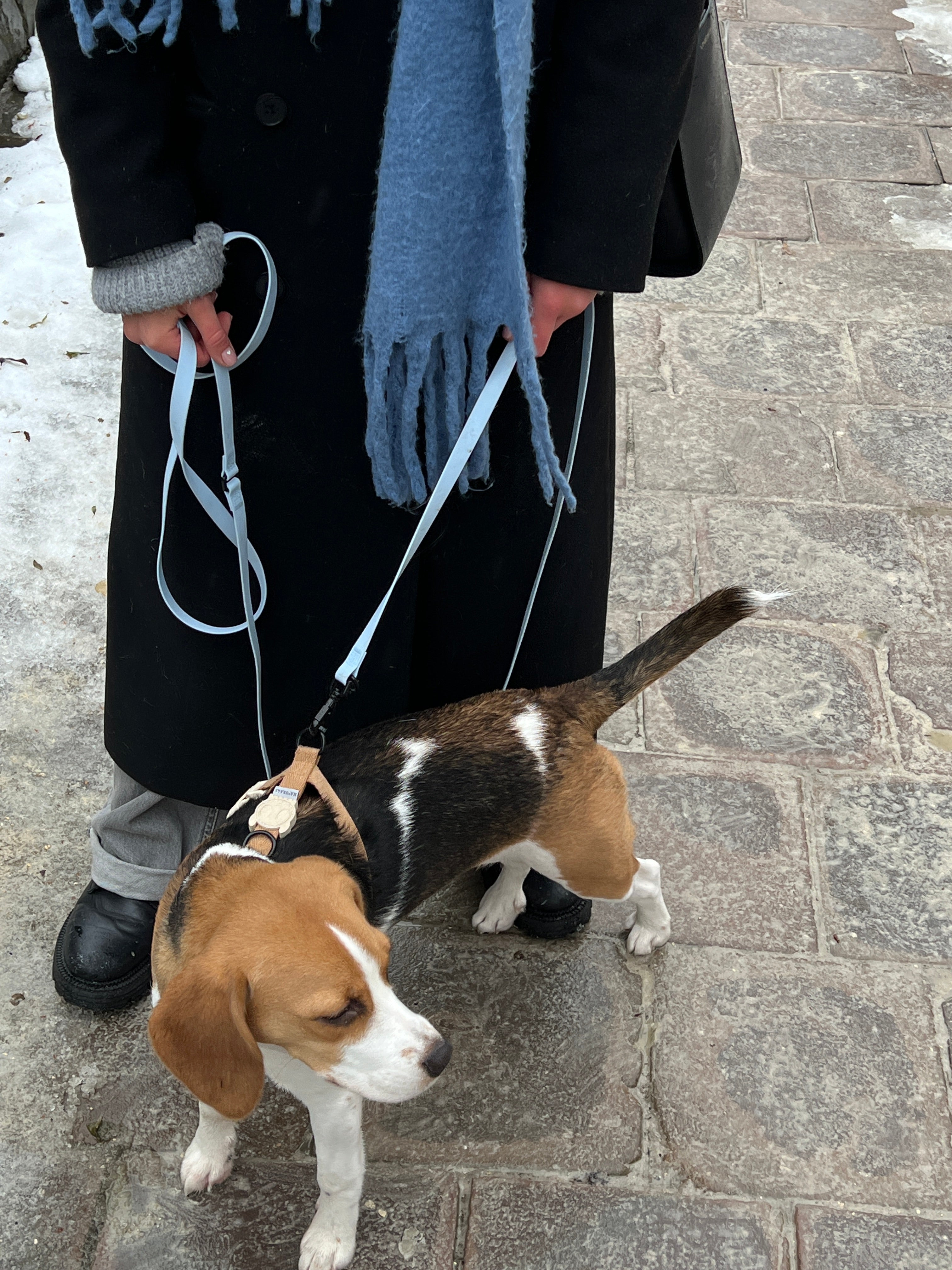 Водонепроникний поводок Waterproof Leash 2-in-1 Ice Blue
