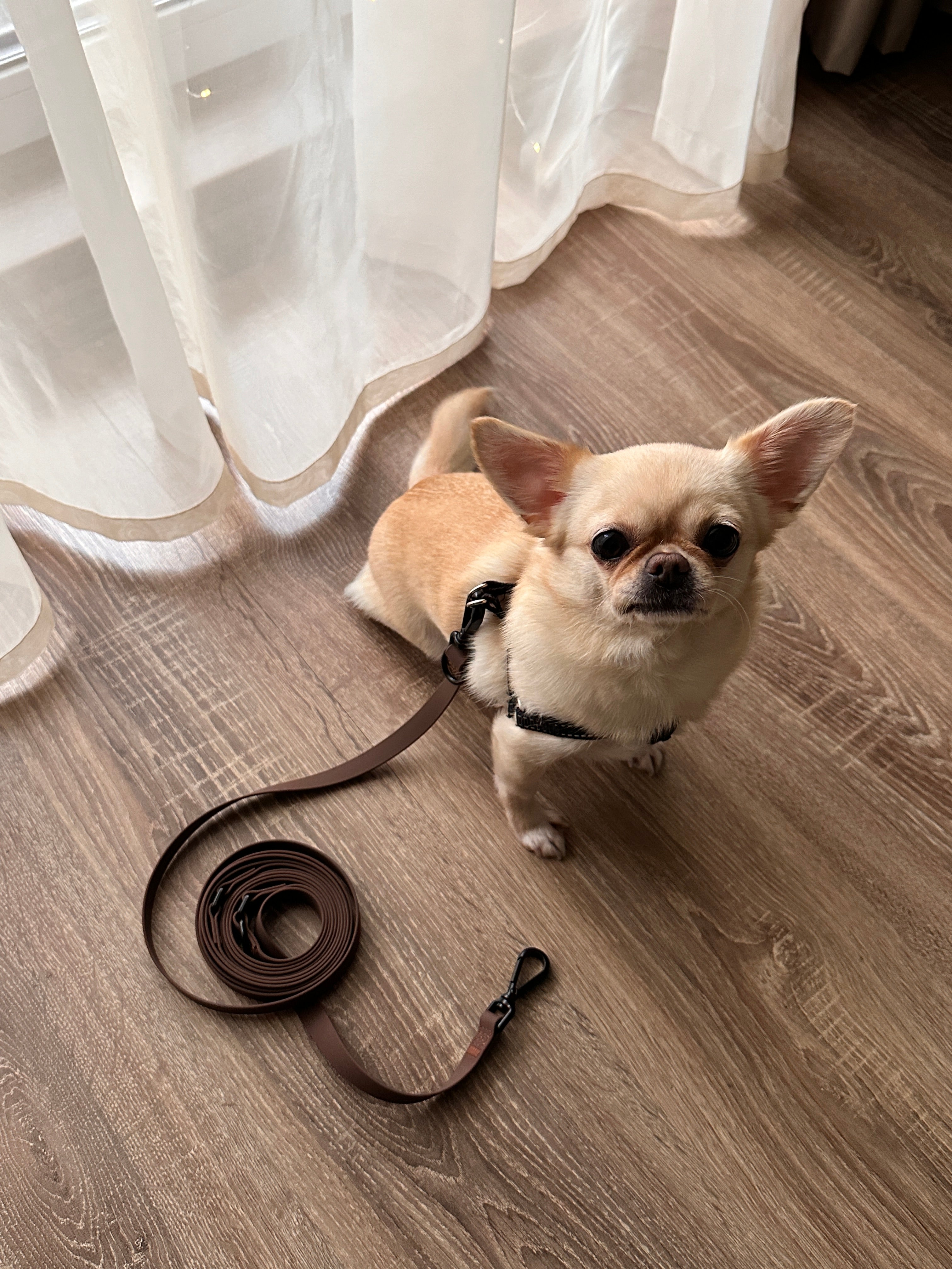 Водонепроникний поводок Waterproof Leash 2-in-1 Ice Blue